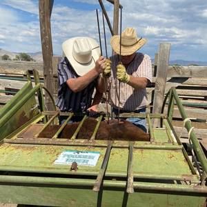 Meet your Posher, Laine